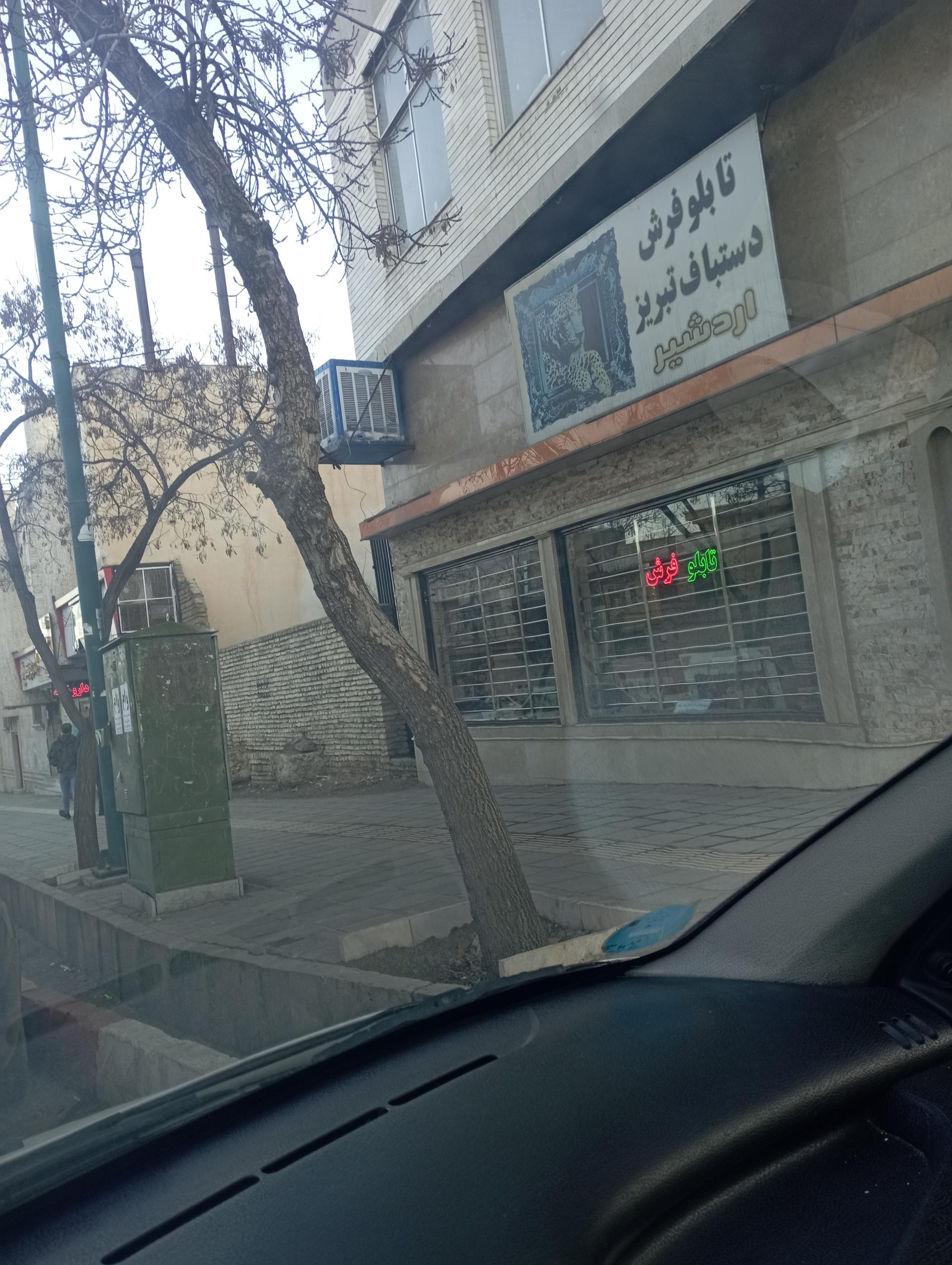 عکس تابلو فرش دستباف اردشیر