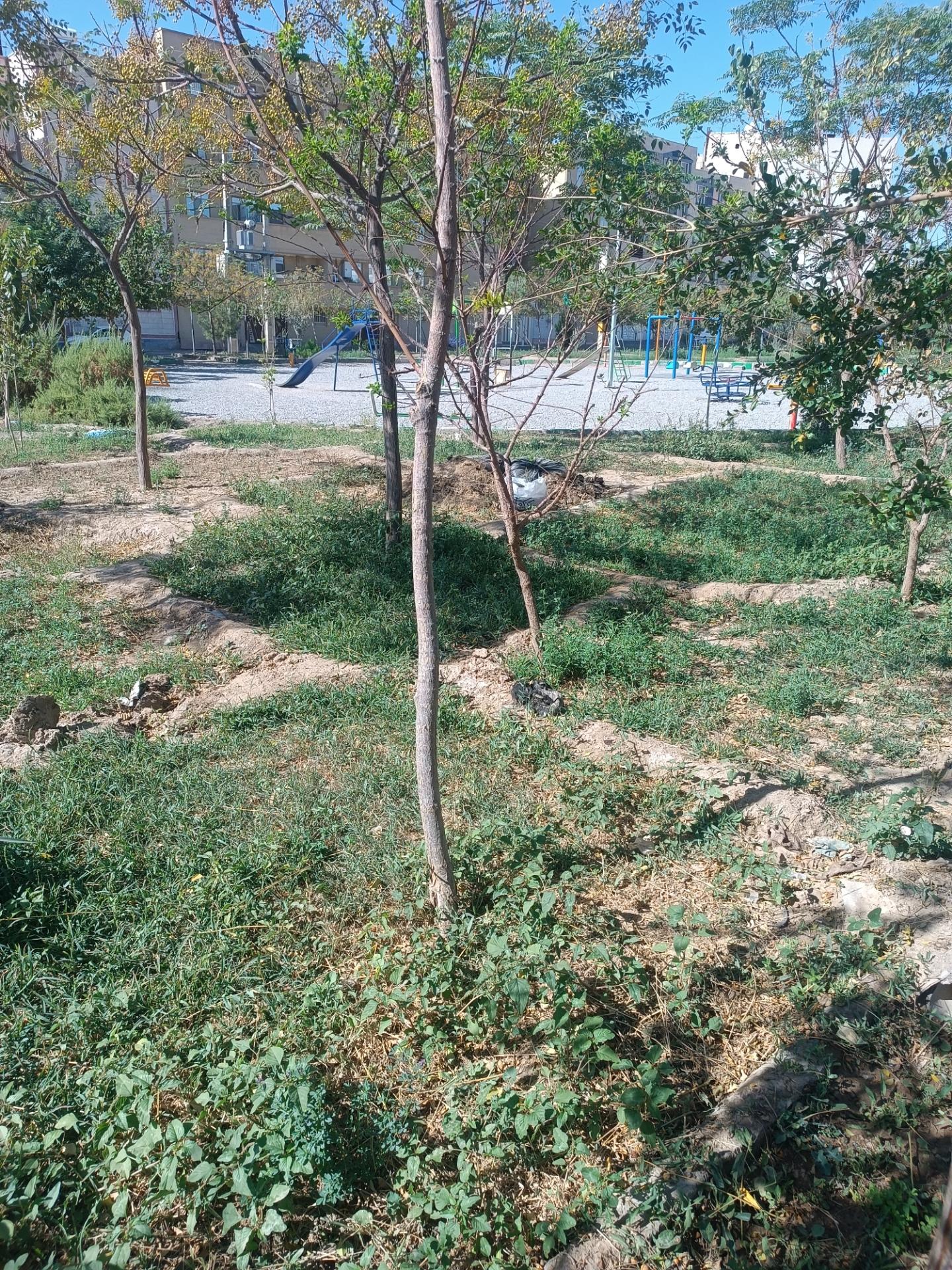 عکس پارک شهرکی