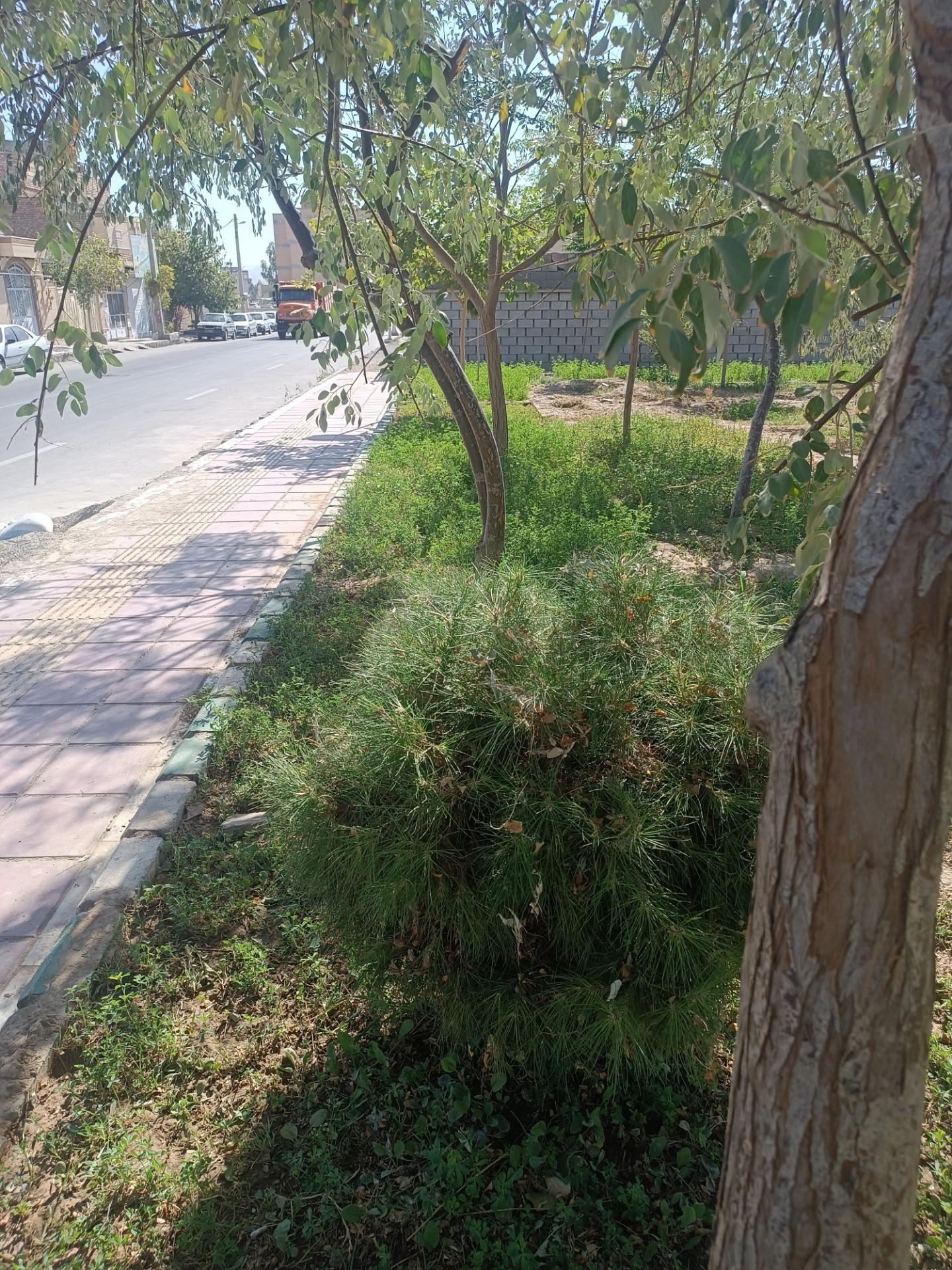 عکس پارک شهرکی