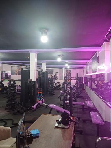 عکس باشگاه بدنسازی آلفا