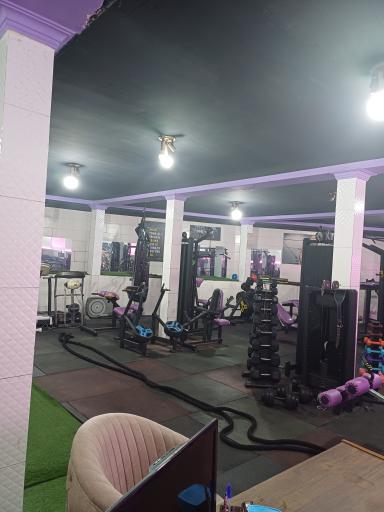 عکس باشگاه بدنسازی آلفا