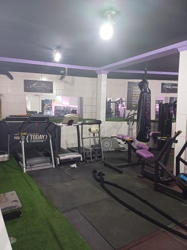 عکس باشگاه بدنسازی آلفا