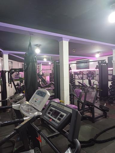 عکس باشگاه بدنسازی آلفا