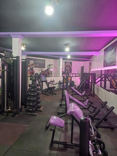 عکس باشگاه بدنسازی آلفا