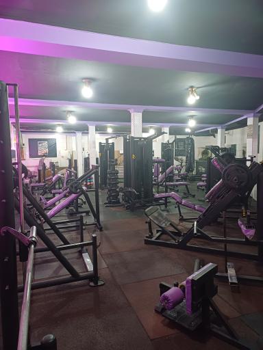 عکس باشگاه بدنسازی آلفا