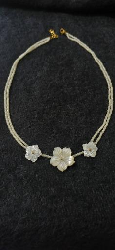 عکس گالری میرفلاح 
