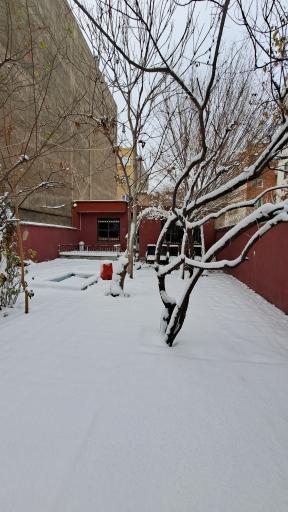 عکس کافه نیل