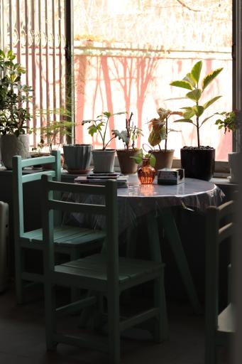 عکس کافه نیل