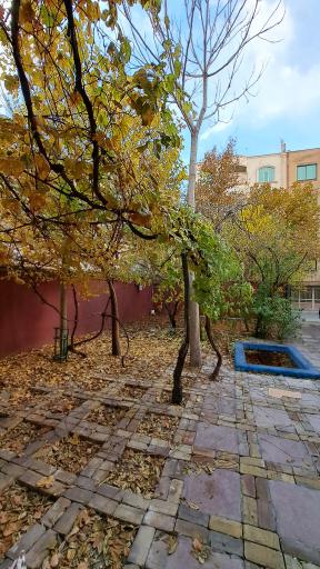 عکس کافه نیل