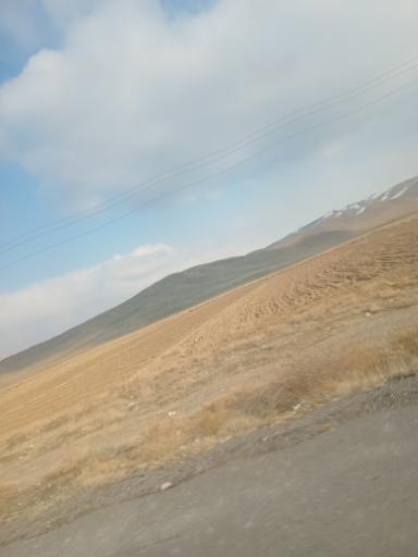 عکس عجب‌ شیر