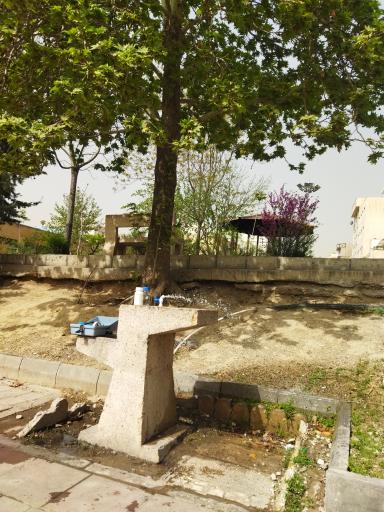 عکس بوستان بزرگمهر