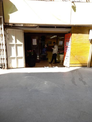 عکس رادیولوژی و  سونوگرافی  آرین