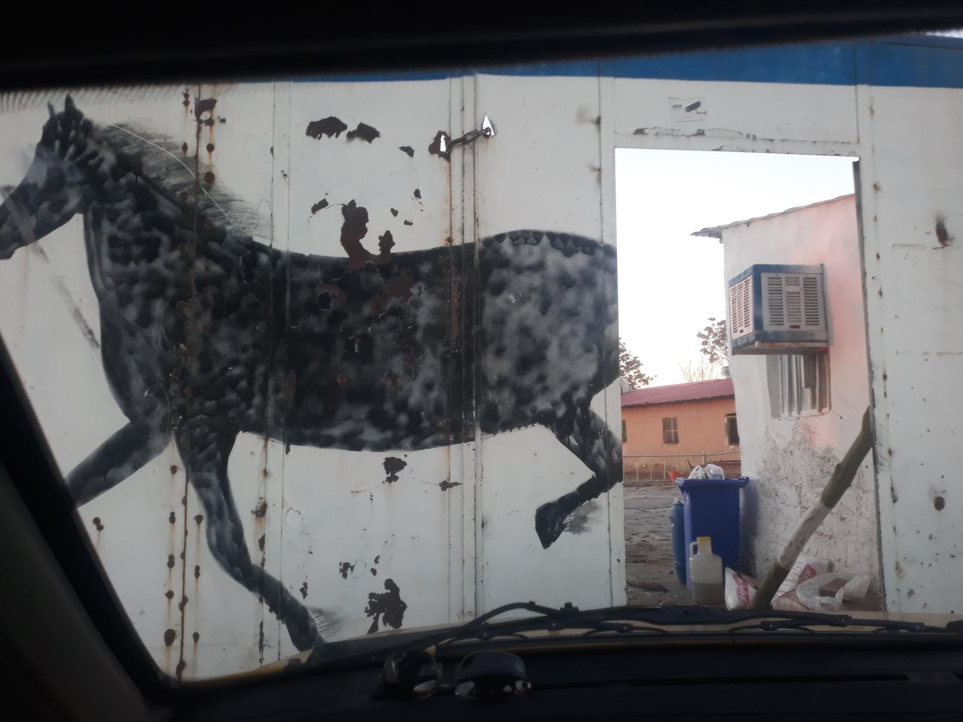 عکس باشگاه سوارکاری حنا