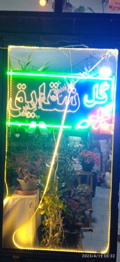 عکس گل فروشی شقایق قنبری