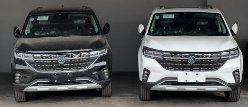 عکس نیک آرمان نمایندگی فردا موتورز