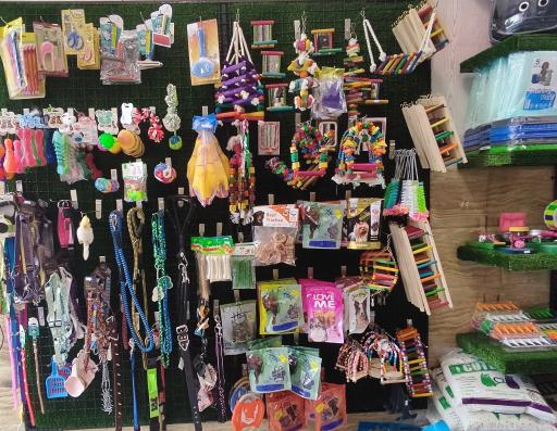 عکس پت شاپ ام پی