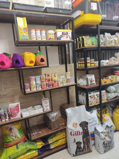 عکس پت شاپ ام پی