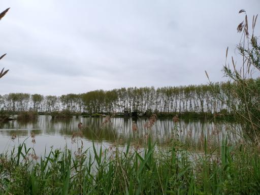 عکس تالاب روستای سلیمانکلا