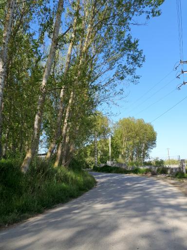 عکس تالاب روستای سلیمانکلا