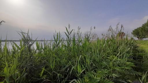 عکس تالاب روستای سلیمانکلا