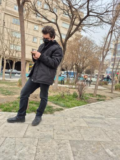 عکس بوستان زیتون