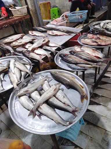 عکس بازار ماهی فروشان تنکابن