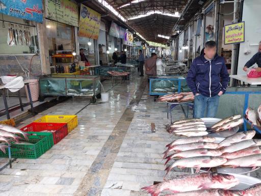 عکس بازار ماهی فروشان تنکابن
