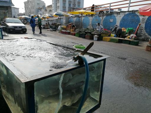 عکس بازار ماهی فروشان تنکابن