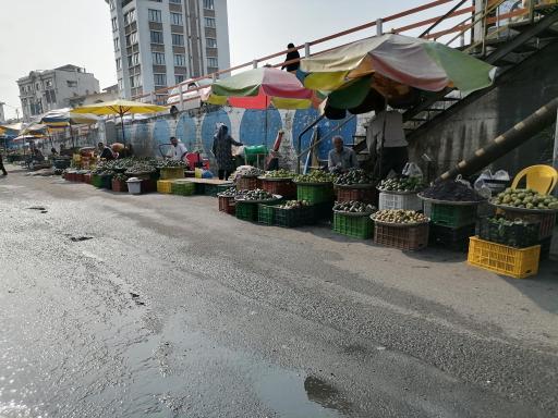 عکس بازار ماهی فروشان تنکابن