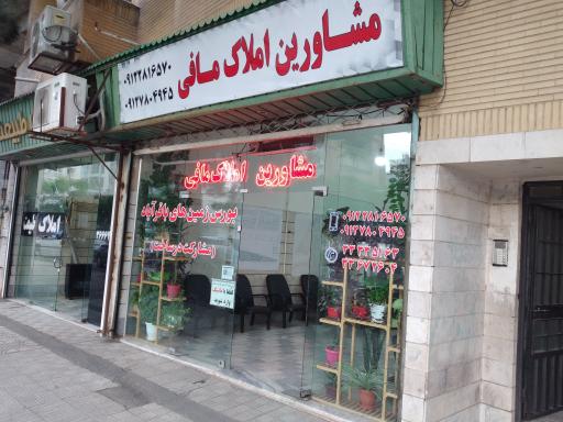 عکس مشاورین املاک مافی