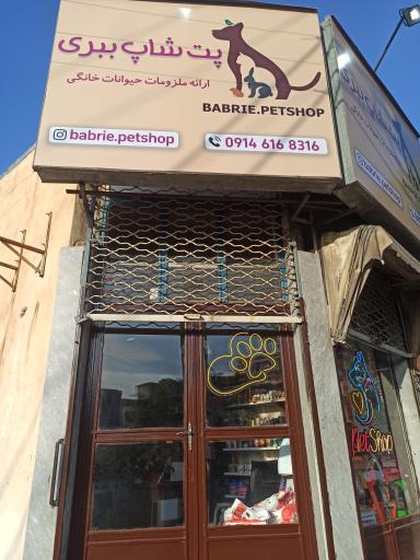 عکس پت شاپ ببری 