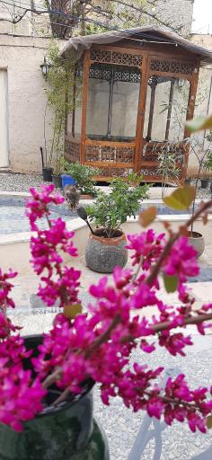 عکس باغچه رستوران قاجاری