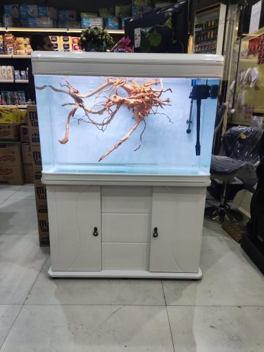 عکس آکواریوم نمو