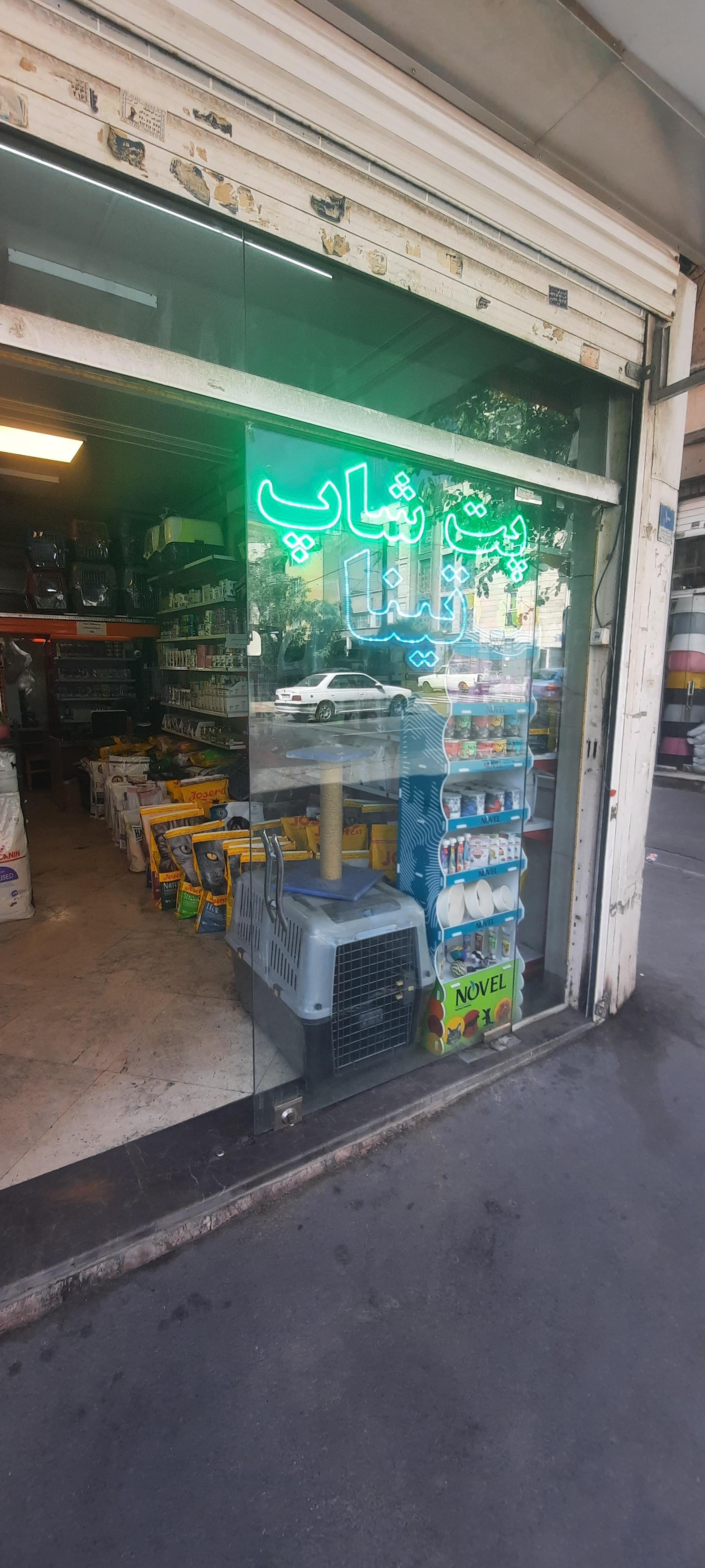 عکس پت شاپ تینا