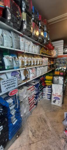 عکس پت شاپ تینا