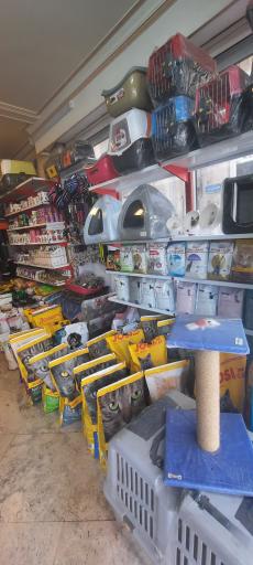 عکس پت شاپ تینا