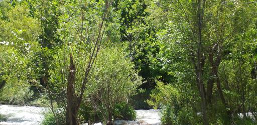 عکس غار سراب گاماسیاب نهاوند