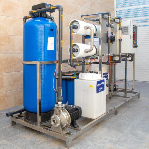 عکس شرکت دلفین دریای آرام