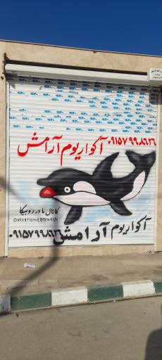 عکس آکواریوم ماهی زینتی آرامش