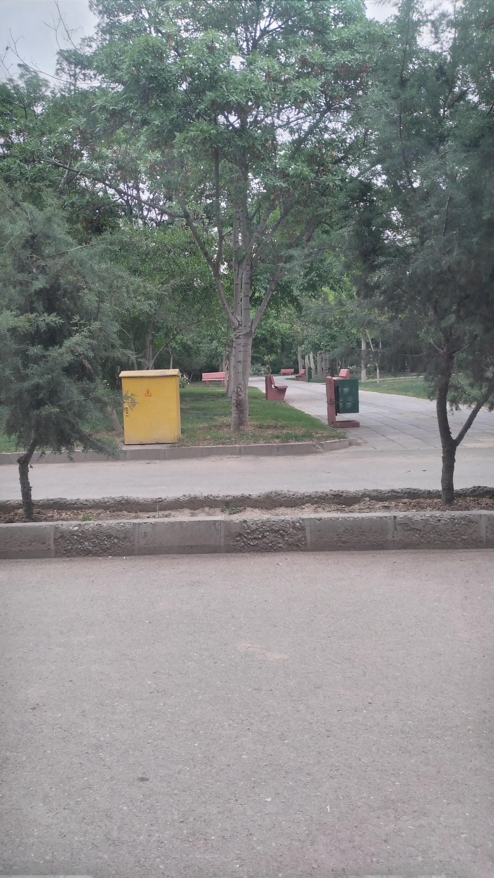 عکس پارک ولیعصر (عج)