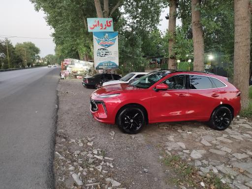 عکس دکتر کارواش