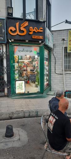 عکس گل فروشی عمو گل 