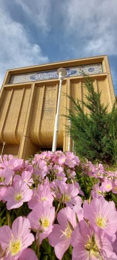 عکس موسسه امام صادق (ع)