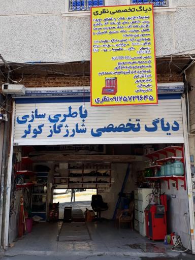 دیاگ تخصصی وتنظیم موتور نظری