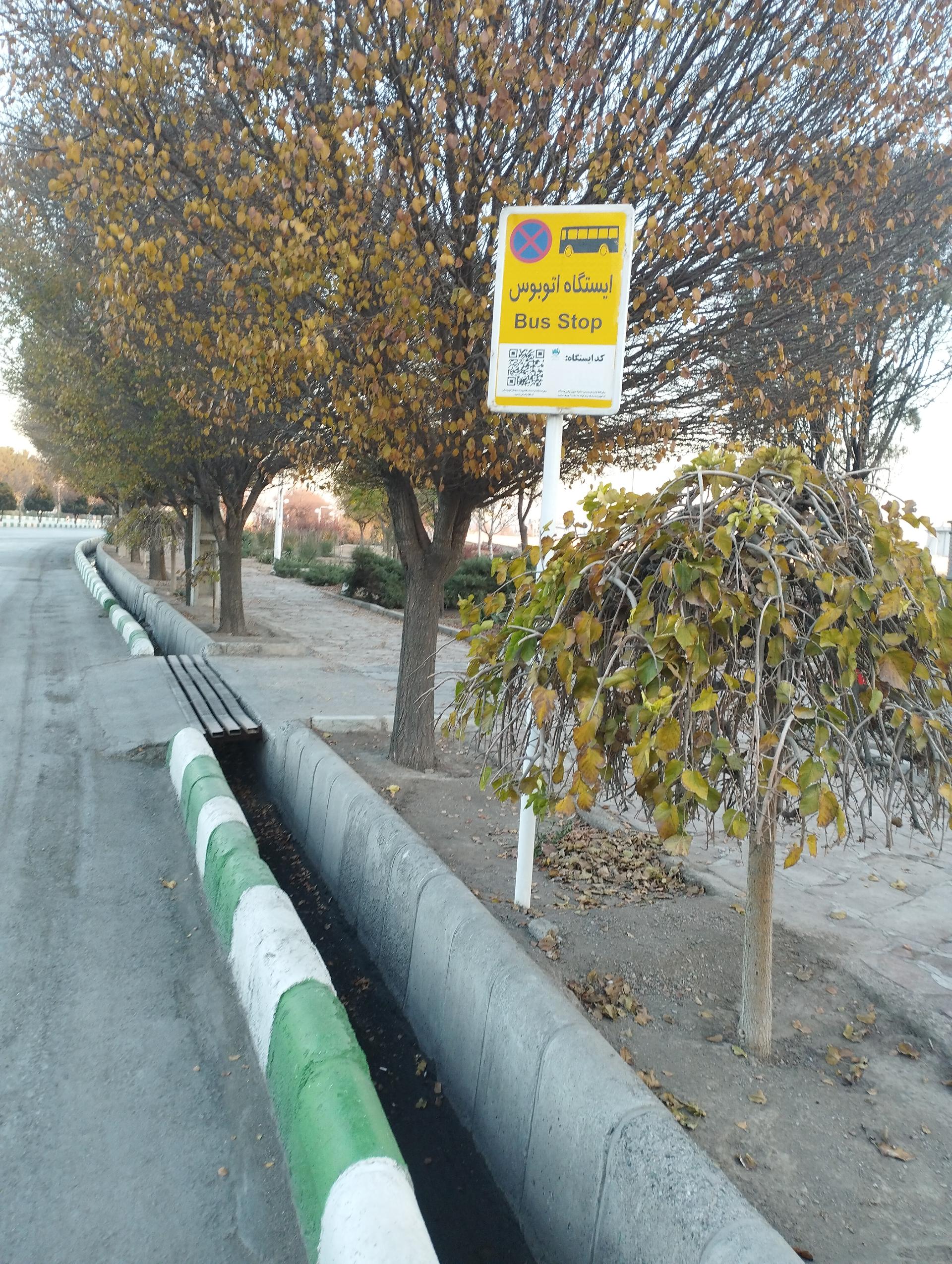 عکس  هواشناسی