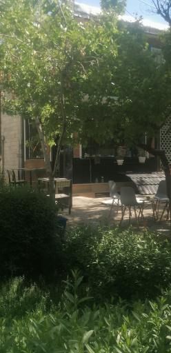 عکس کافه کاژه