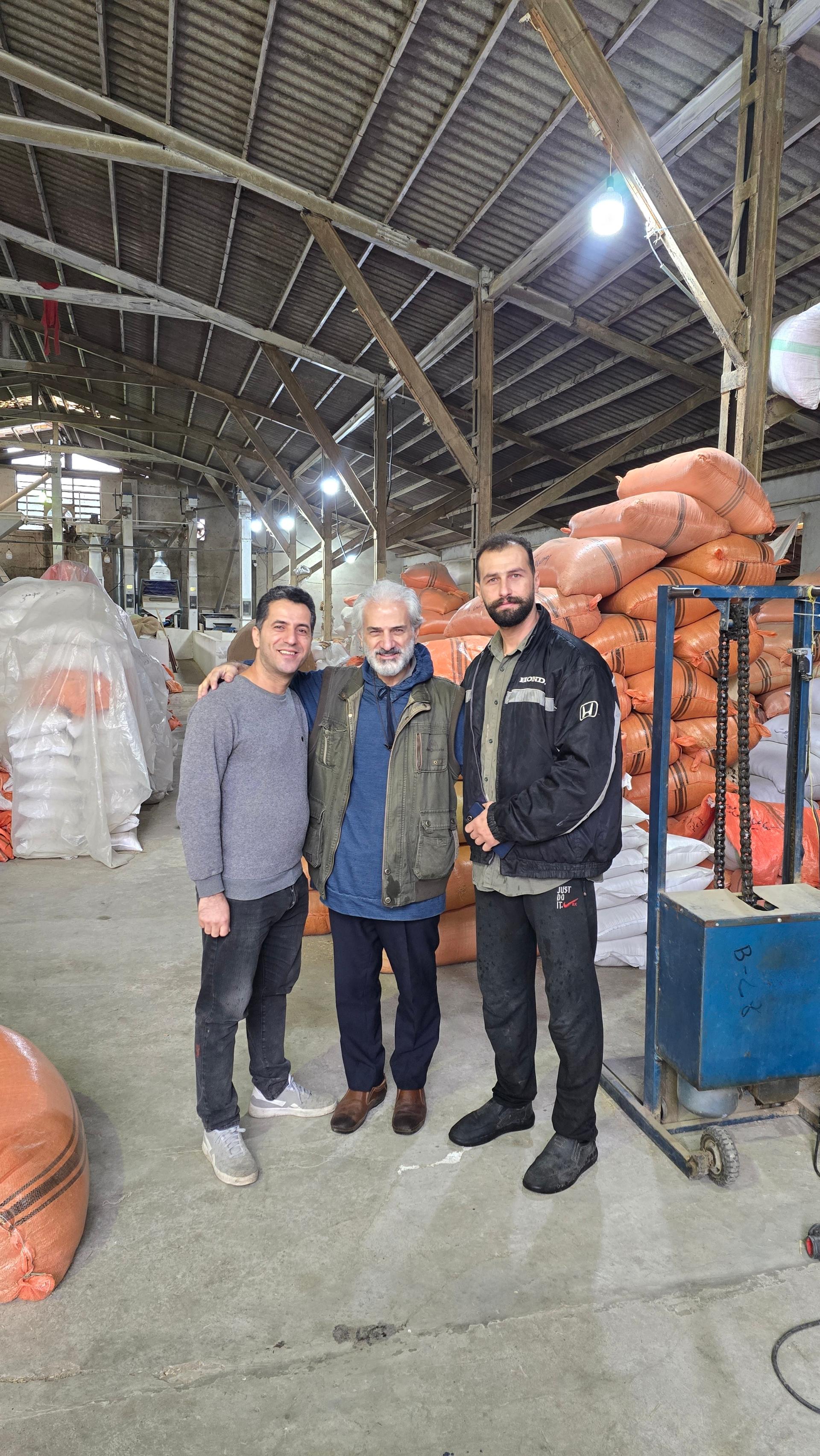 عکس برنجکوبی بیداریان