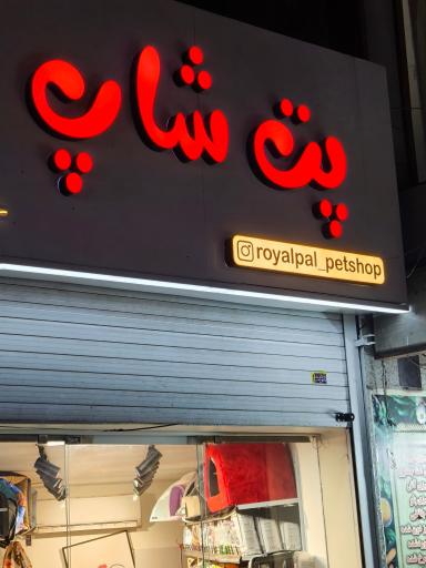 عکس پت شاپ رویال پال