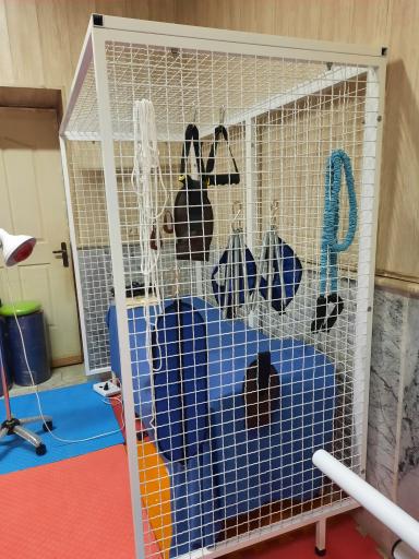 عکس کلینیک کاردرمانی ققنوس مشهد