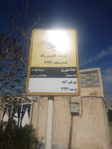 عکس طاووس رنگ